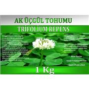 AK ÜÇGÜL TOHUMU-BODUR YONCA 1 KG
