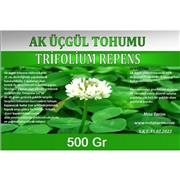 AK ÜÇGÜL TOHUMU-SÜS YONCASI 500 GR
