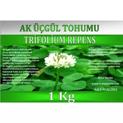 AK ÜÇGÜL TOHUMU-BODUR YONCA 1 KG