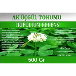 AK ÜÇGÜL TOHUMU-SÜS YONCASI 500 GR